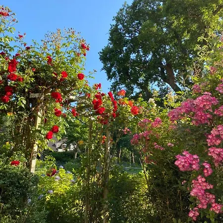 Apartament Historischer Bauernhof